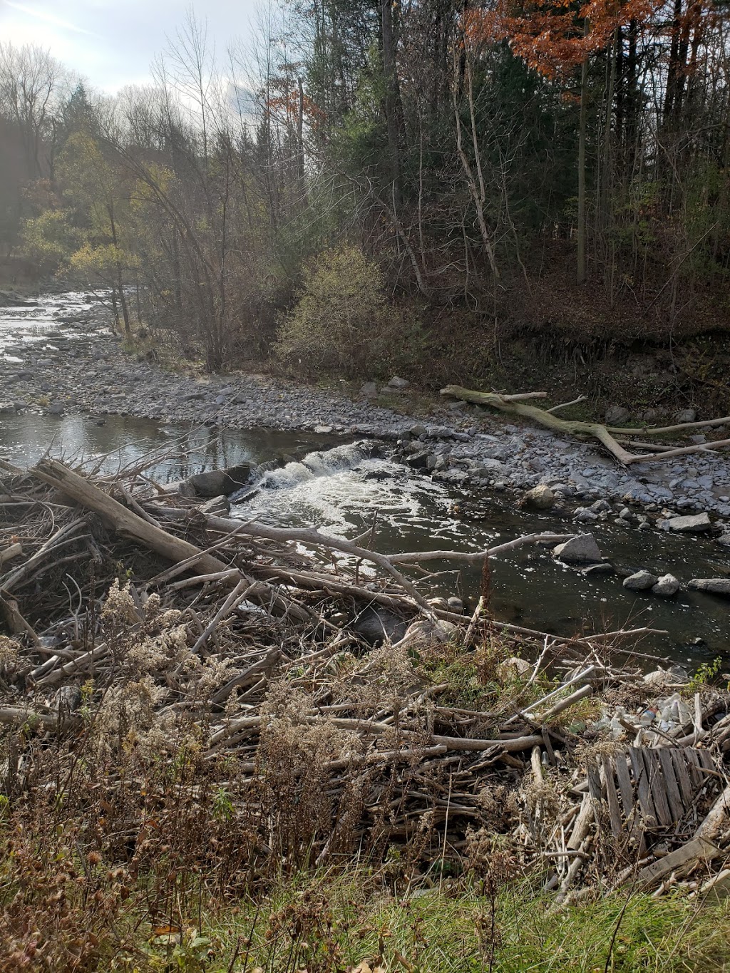 Morningside Park | Unnamed Road, Scarborough, ON M1E 2R2, Canada