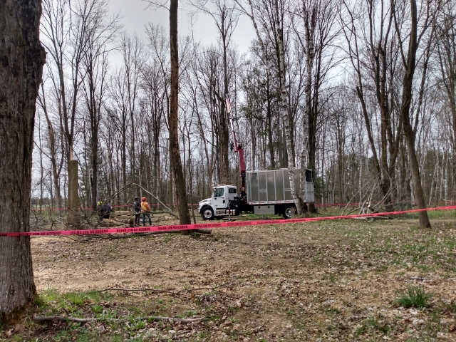 Davez Tree Service | 45 Cedar St, Collingwood, ON L9Y 3A4, Canada | Phone: (705) 606-6860