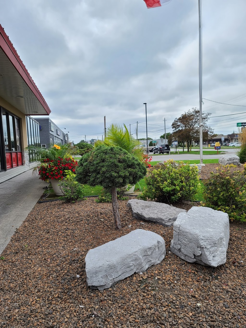 McDonalds | 214 Talbot St W, Leamington, ON N8H 1P1, Canada | Phone: (519) 326-1311