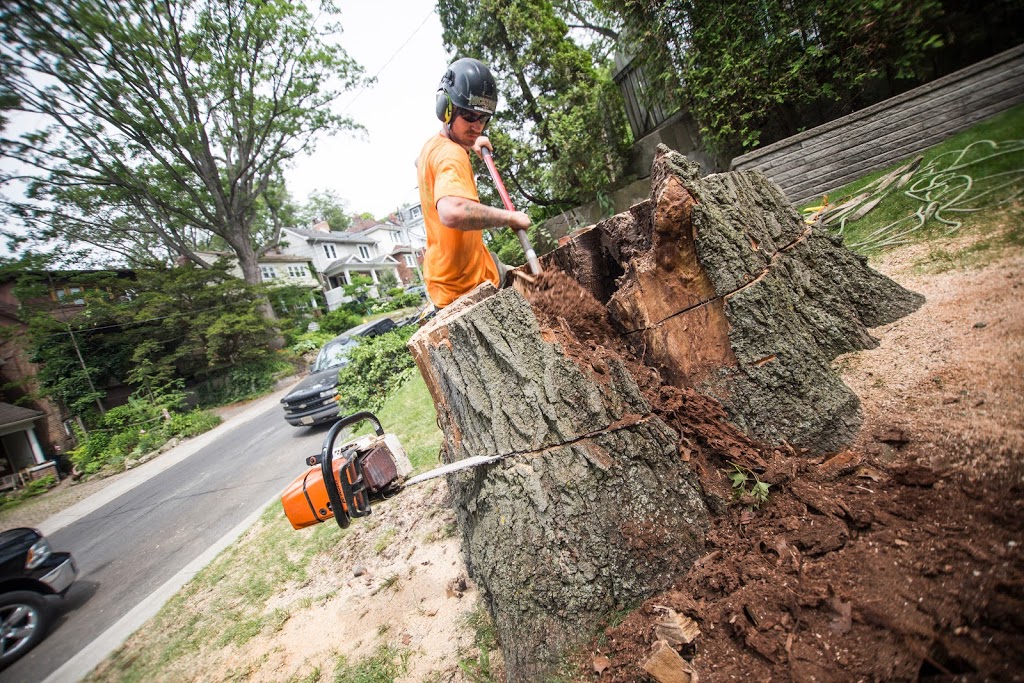 Rockwood Tree Services | 925 Bayly St Unit 28, Pickering, ON L1W 1L4, Canada | Phone: (647) 836-7060