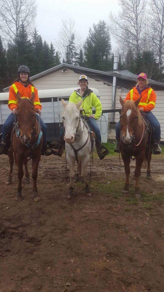 Saddle Tramp Stables | 512 Lockstead Road, Lockstead, NB E9B 1L8, Canada | Phone: (506) 627-6811