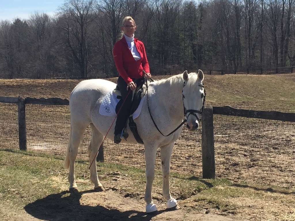 Nighswander Equestrian | 1675 St Johns Sideroad, Aurora, ON L4G 7C7, Canada | Phone: (905) 751-6771