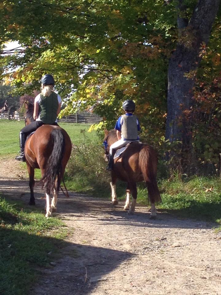 Myrddin Equestrian Centre | 5046 Trafalgar Rd, Georgetown, ON L7G 4S4, Canada | Phone: (905) 703-6698