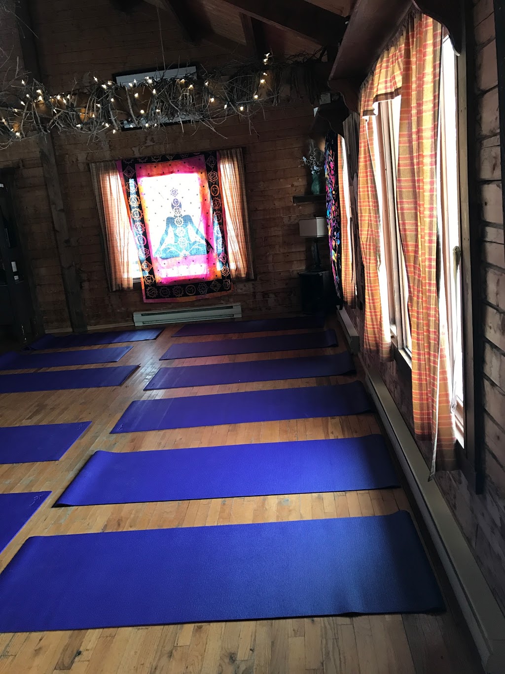 Karoline English Yoga Espace Zen | 556 Chemin du Chenal-du-Moine, Sainte-Anne-de-Sorel, QC J3P 1V9, Canada | Phone: (450) 908-0940