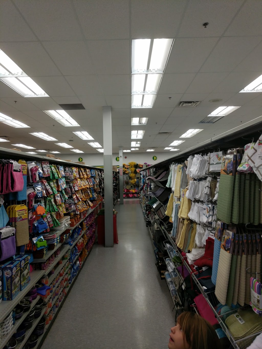 Dollarama | Norfolk Mall, 400 Simcoe St, Tillsonburg, ON N4G 4X1, Canada | Phone: (519) 688-6517