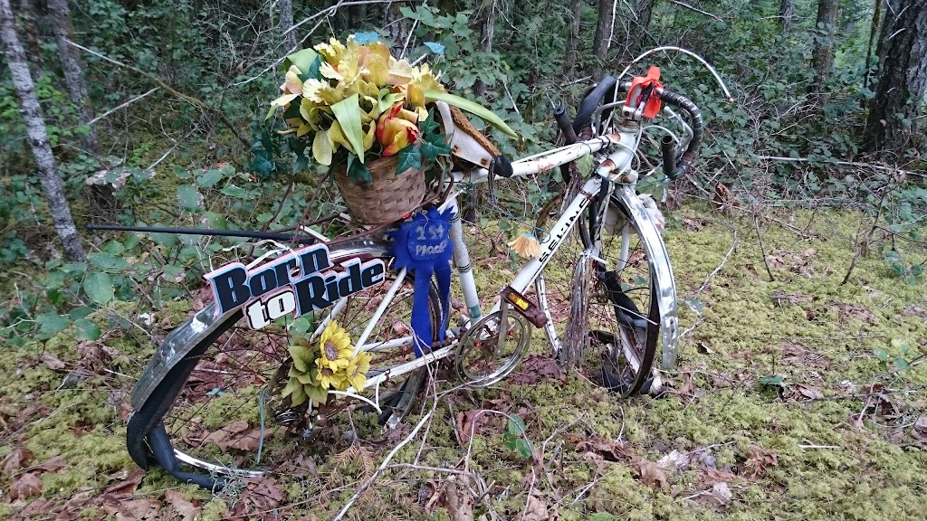 Antler Creek Logging Ltd | 11175 Lakeshore Rd, Port Alberni, BC V9Y 9B1, Canada | Phone: (250) 723-5958