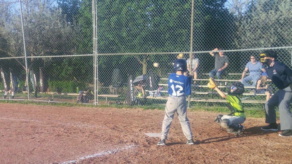 Proctor Park | 277 Primrose Ln, Newmarket, ON L3Y 5Y8, Canada | Phone: (905) 895-5193