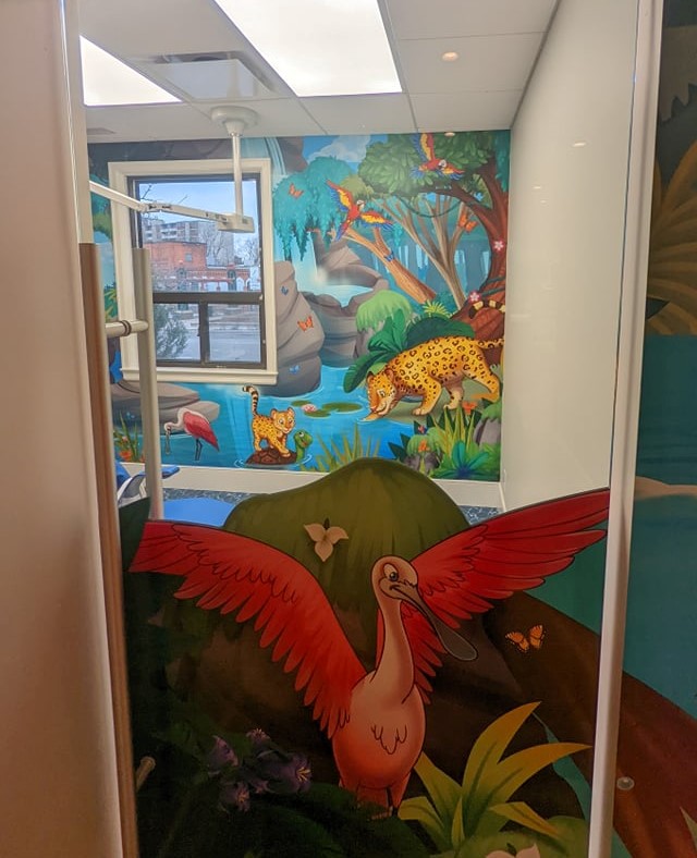 Safari Childrens Dentistry | 80 King St E, Stoney Creek, ON L8G 1K2, Canada | Phone: (905) 331-3031