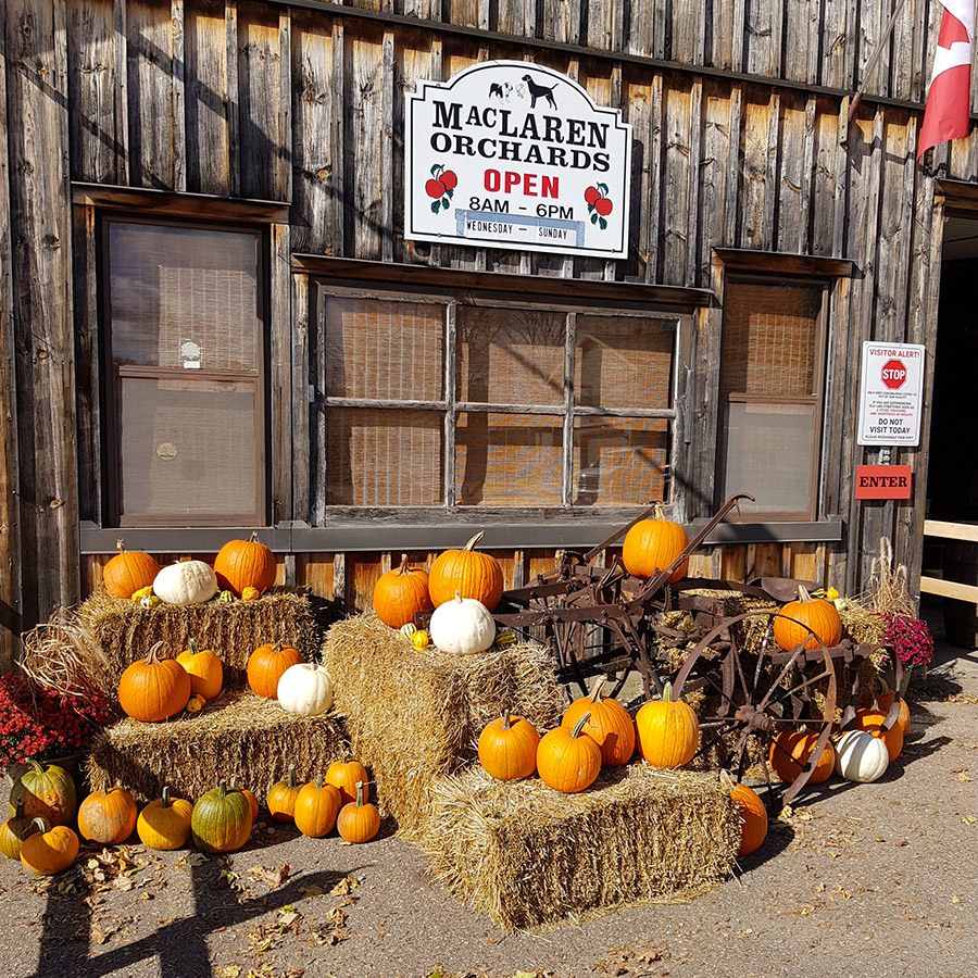 MacLaren Orchards | 3376 Burnstown Rd, Renfrew, ON K7V 3Z4, Canada | Phone: (613) 432-8997