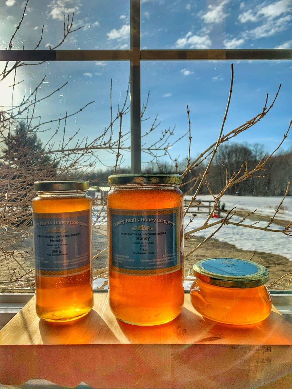Osprey Bluffs Honey Company | 634386 63 road, Singhampton, ON N0C 1M0, Canada | Phone: (647) 272-5006
