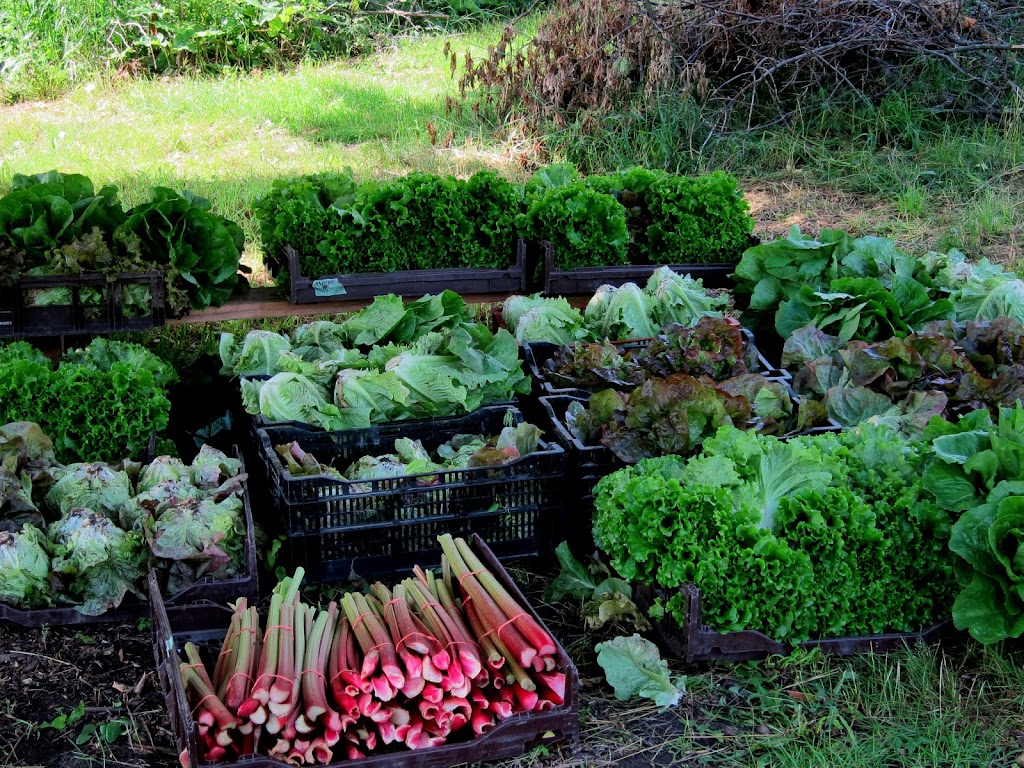 Ferme de Santropol Roulant | 269 Ch Senneville, Senneville, QC H9X 3X8, Canada | Phone: (514) 284-9335