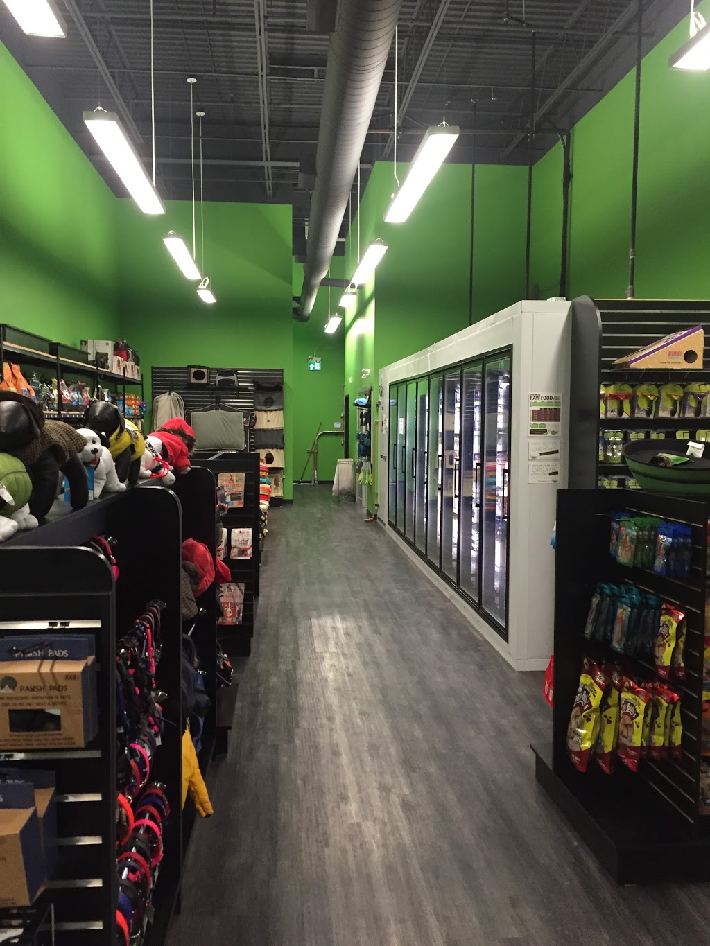 Tail Blazers | F - 170 North Queen Street, Etobicoke, ON M9C 1A8, Canada | Phone: (416) 626-8245