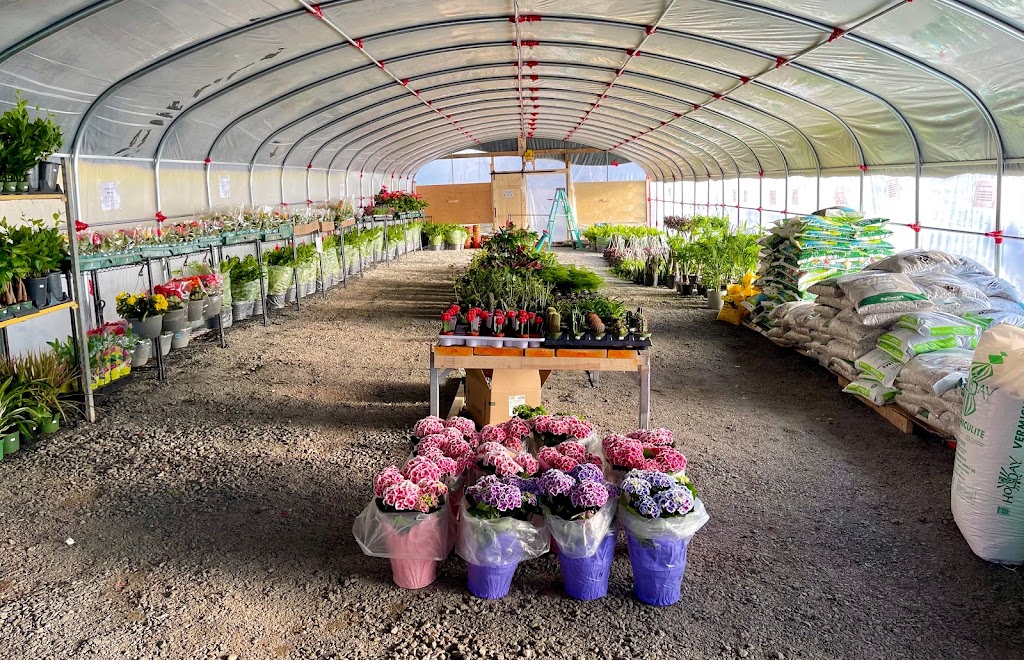 Lucky FLower Greenhouse 小确幸花房 | 4910 Elgin Mills Rd E, Markham, ON L6C 1L5, Canada | Phone: (416) 567-5500