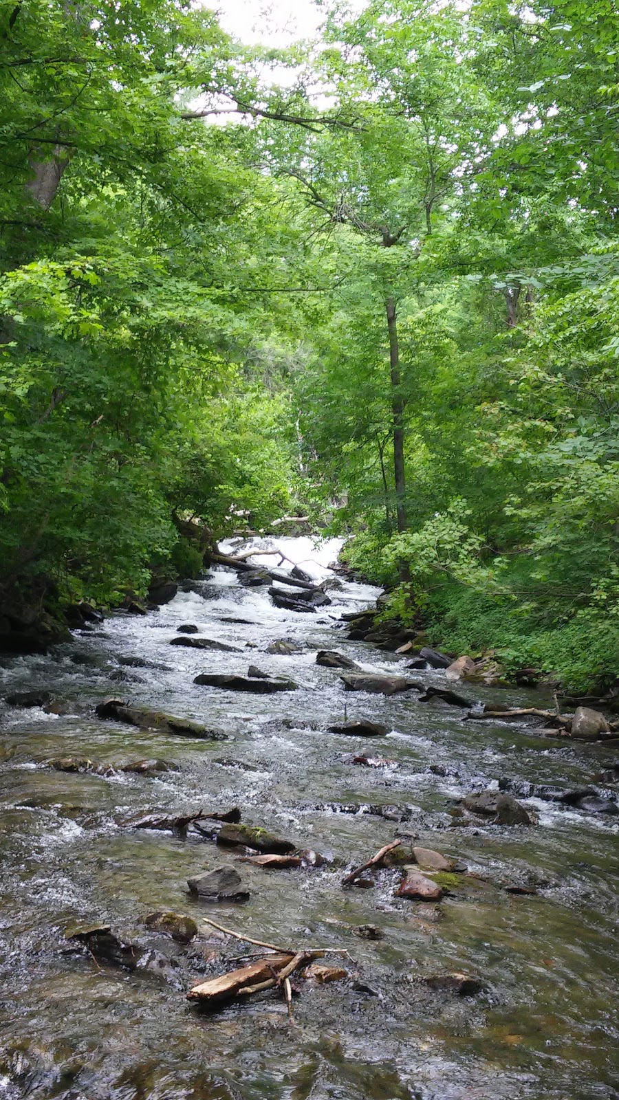 Crystal Lake Falls Historical Association | 97 Water St, Barton, VT 05822, USA
