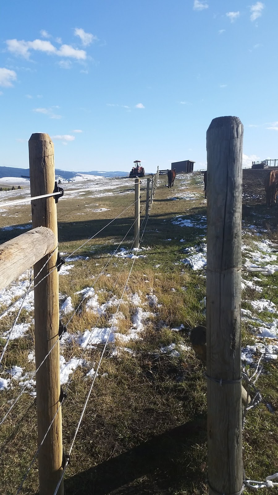 Dreamscape Ranch | 6200 Long Lake Rd, Knutsford, BC V0E 2A0, Canada | Phone: (250) 372-2928