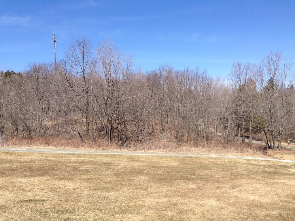 Parc du Mont-Bellevue - stationnement Dunant | 1875 Rue Dunant, Sherbrooke, QC J1H 6L5, Canada