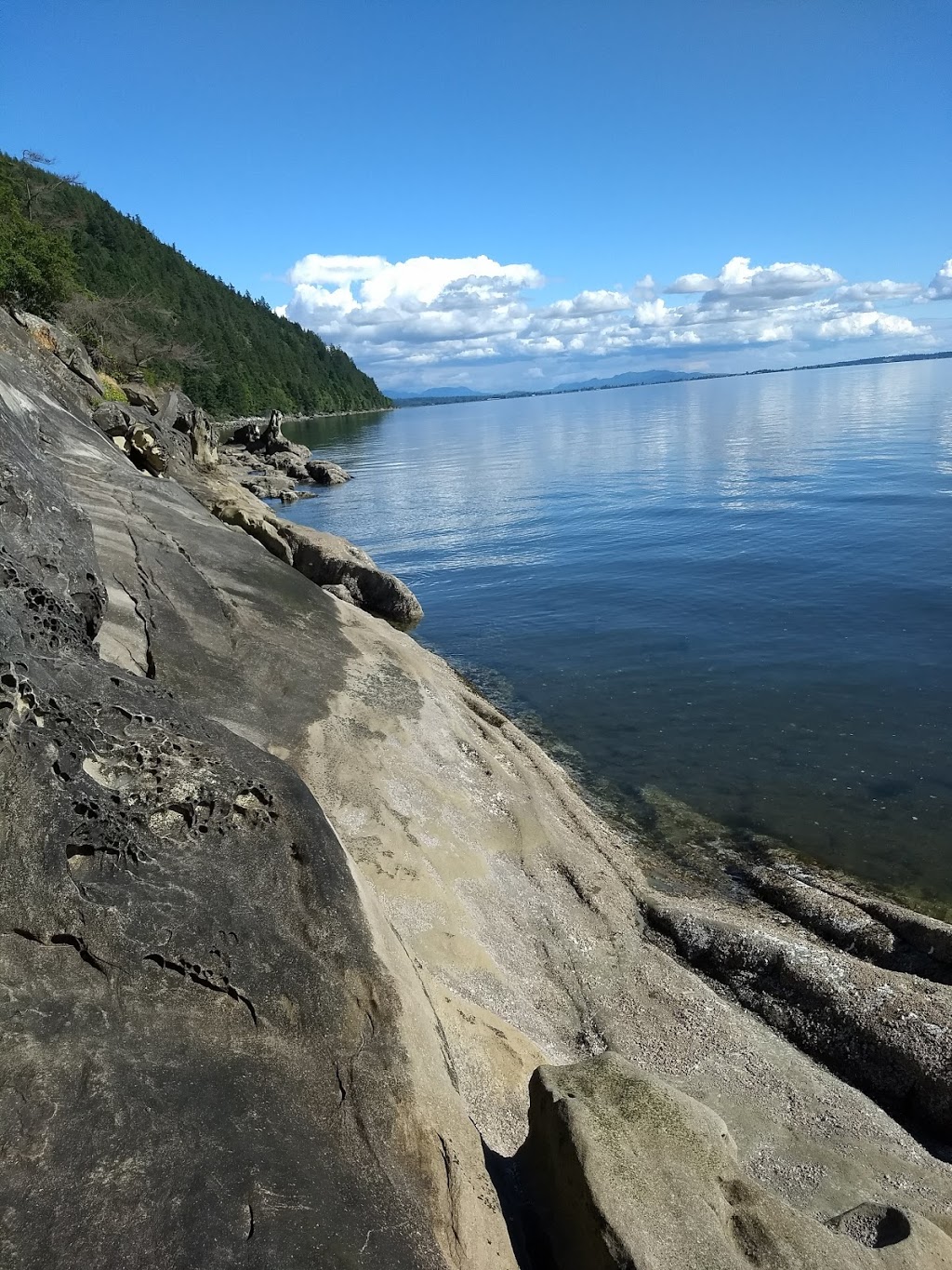 Larrabee State Park | 245 Chuckanut Dr, Bellingham, WA 98229, USA | Phone: (360) 676-2093