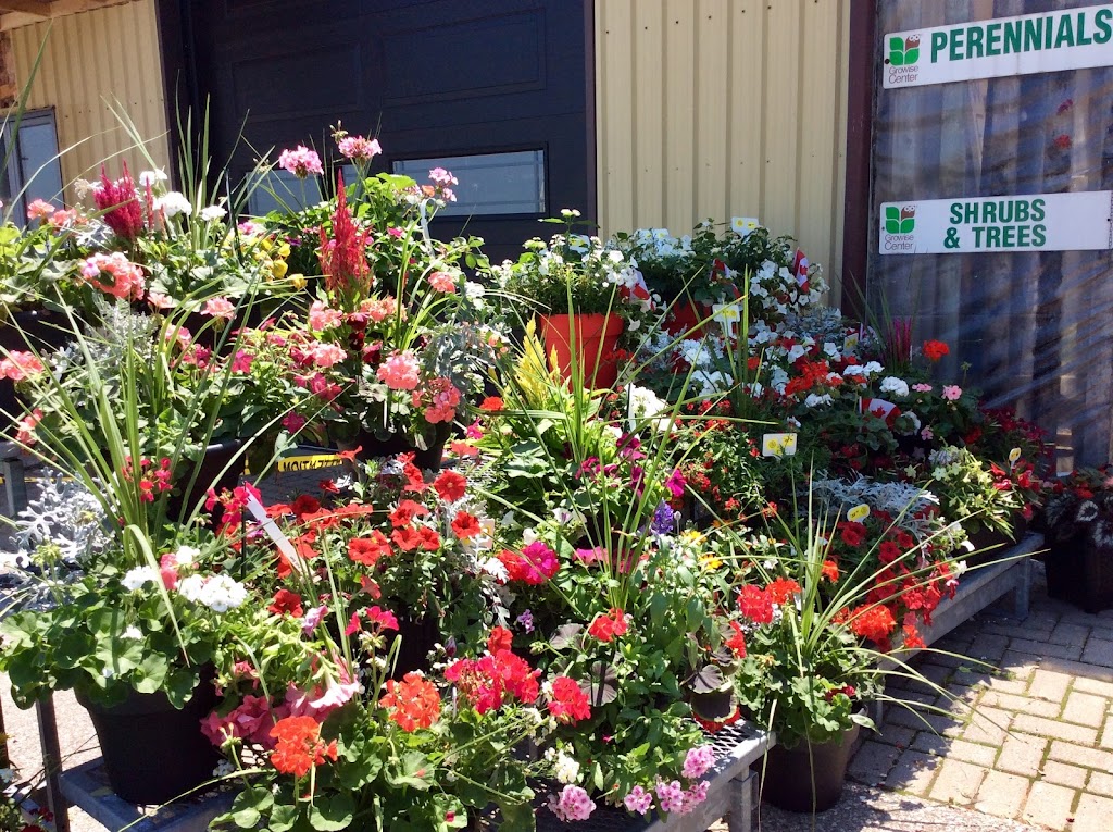 Thuss Greenhouses & Garden Centre | 9185 Townsend Line, Arkona, ON N0M 1B0, Canada | Phone: (519) 828-3338