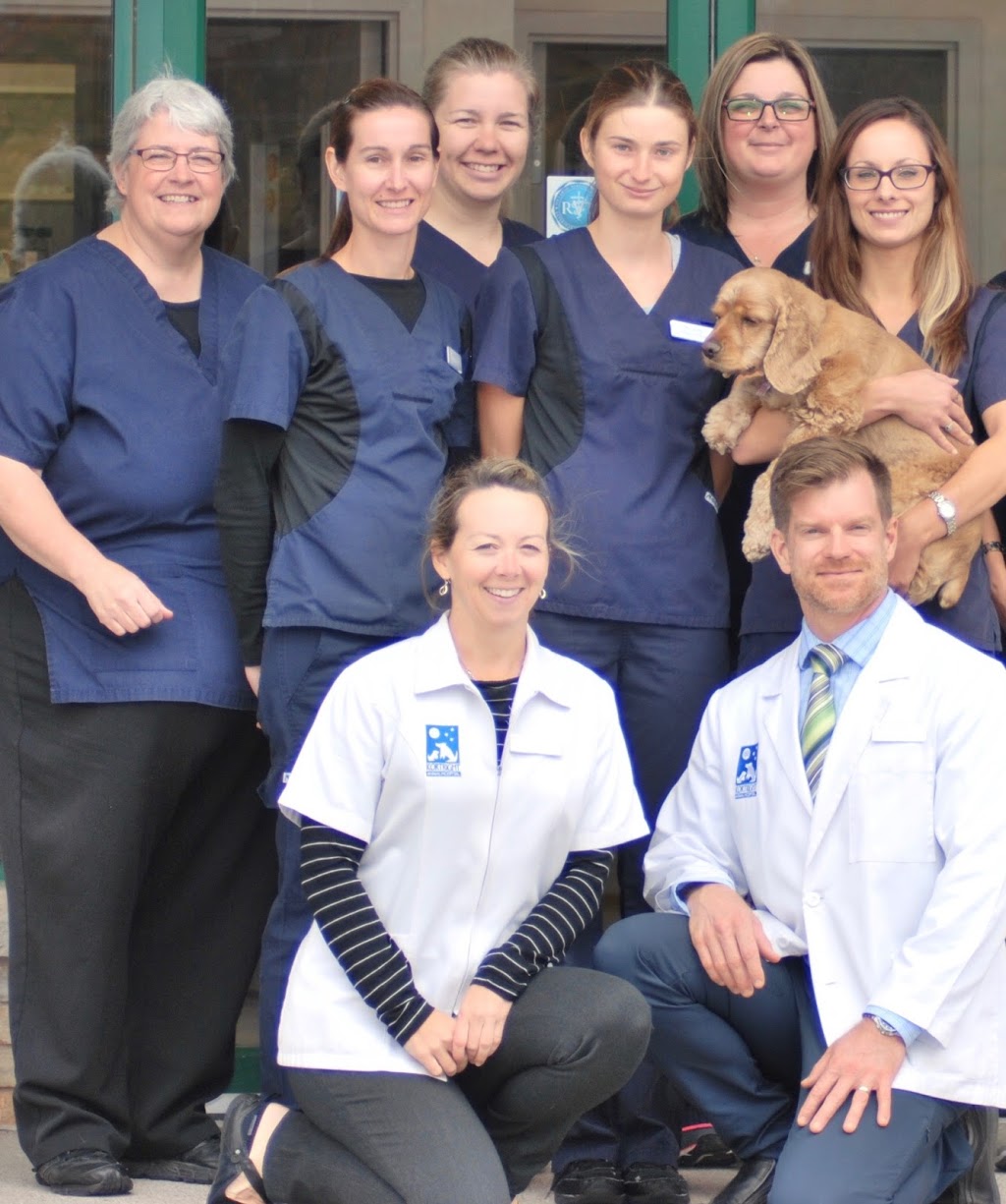 Kortright Animal Hospital | 160 Kortright Rd W, Guelph, ON N1G 4W2, Canada | Phone: (519) 824-7190