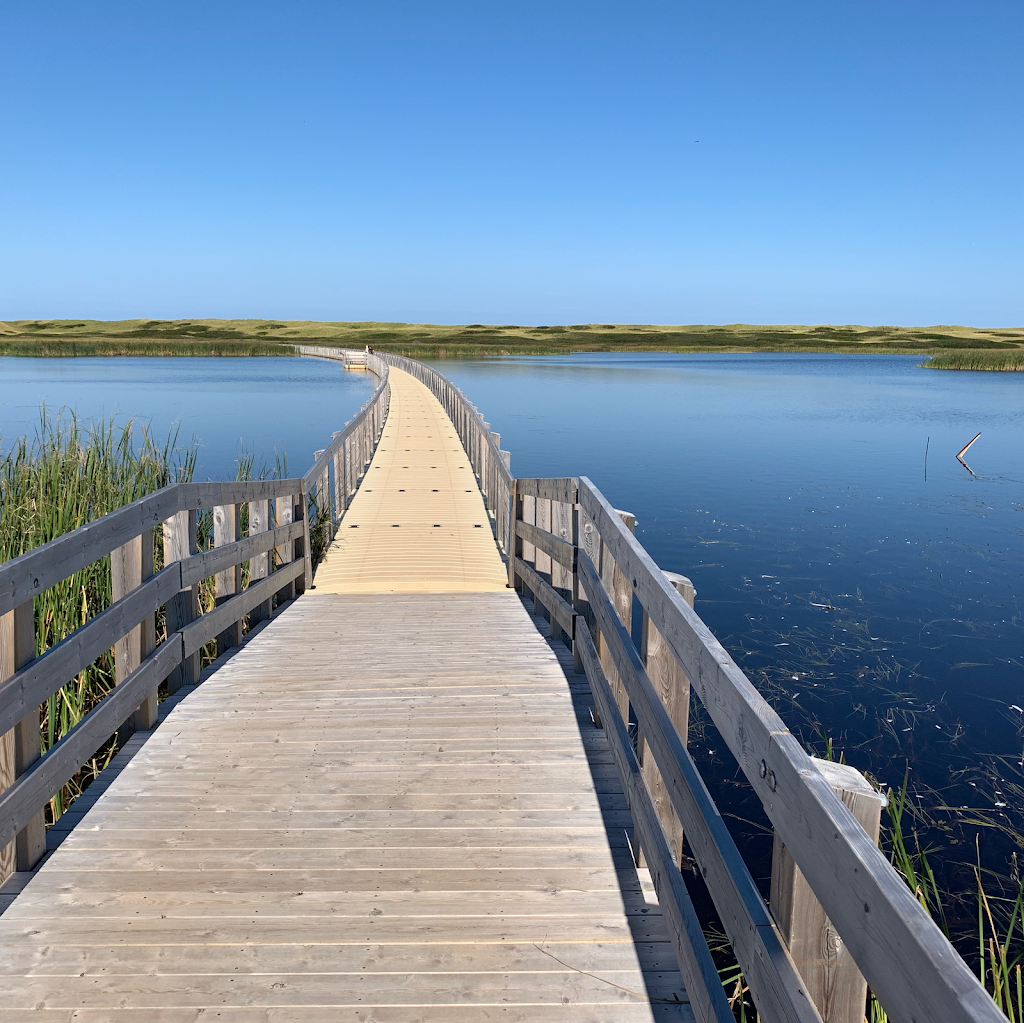 Waterside Dock Systems | 1512 Lyn Rd, Brockville, ON K6V 5T3, Canada | Phone: (613) 341-7770