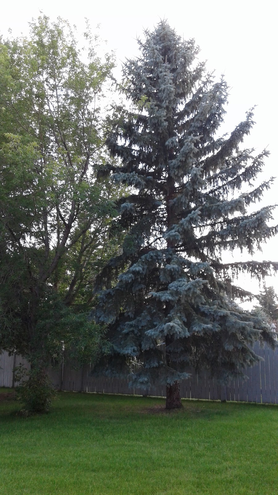 McClure United Church | 13708 74 St NW, Edmonton, AB T4C 3R1, Canada | Phone: (780) 475-8496