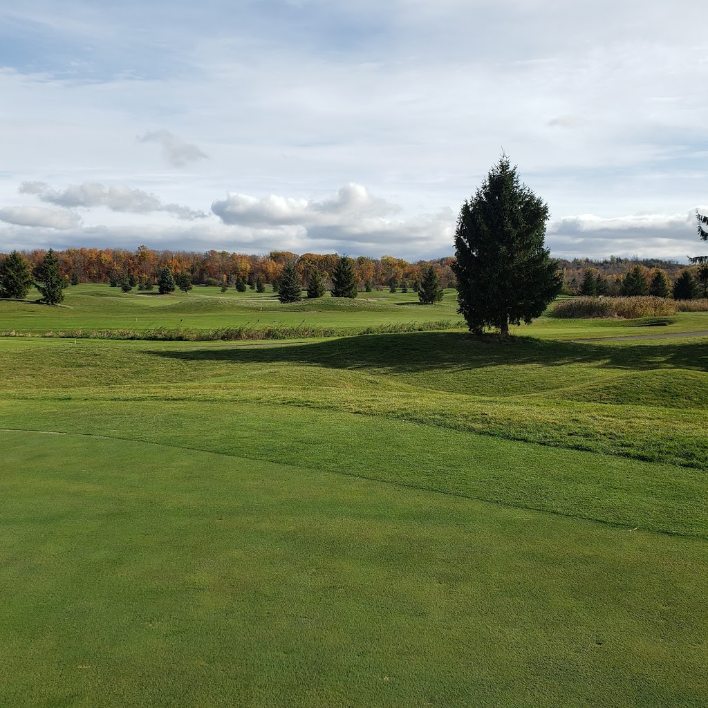Royal Niagara Golf Club | 1 Niagara-on-the-Green Blvd, Niagara-on-the-Lake, ON L0S 1J0, Canada | Phone: (866) 769-2518