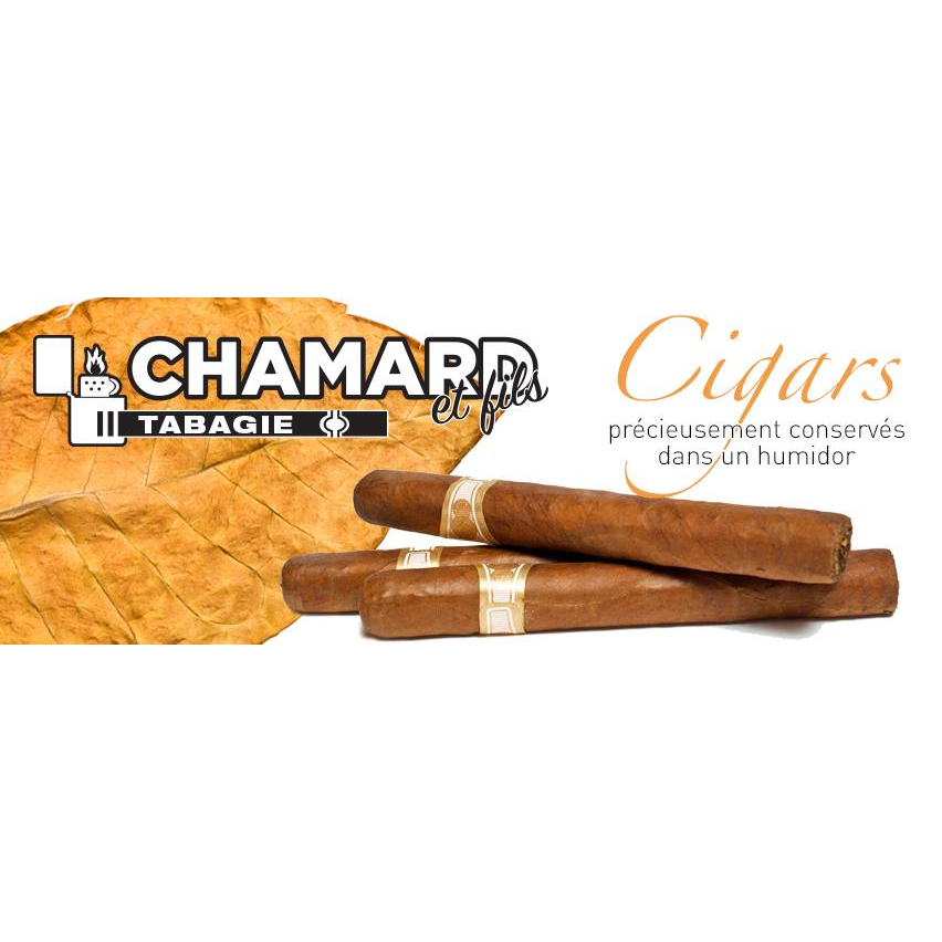 Tabagie Chamard And Son | 45 Boulevard Industriel, Repentigny, QC J6A 5R5, Canada | Phone: (450) 581-8582