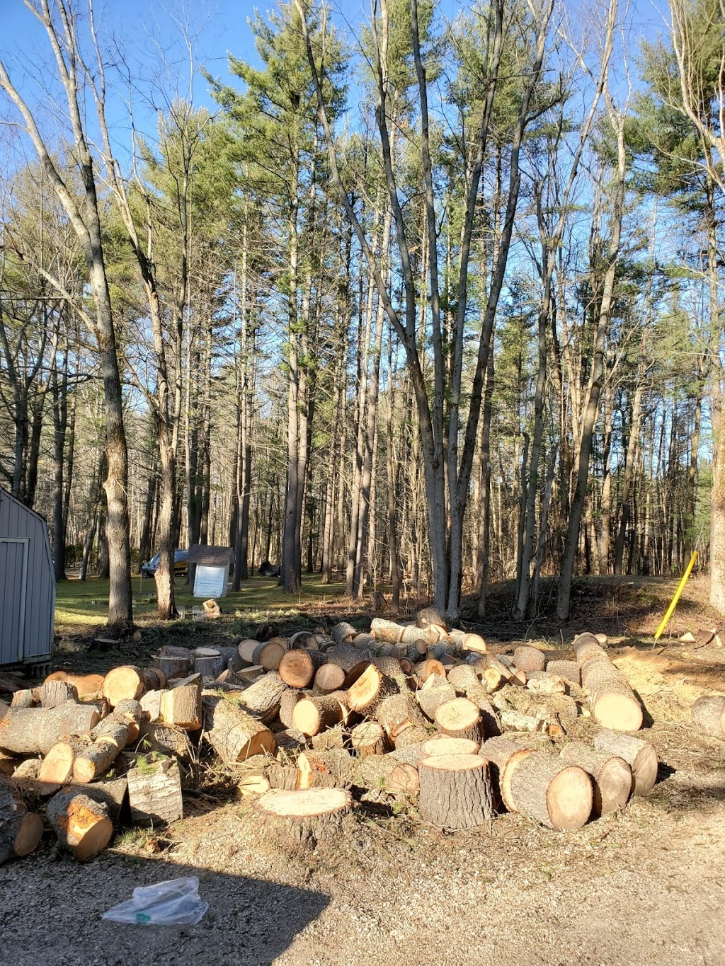 Dan The Wood Man | 3068 Brady Dr, Severn Bridge, ON P0E 1N0, Canada | Phone: (705) 689-2223