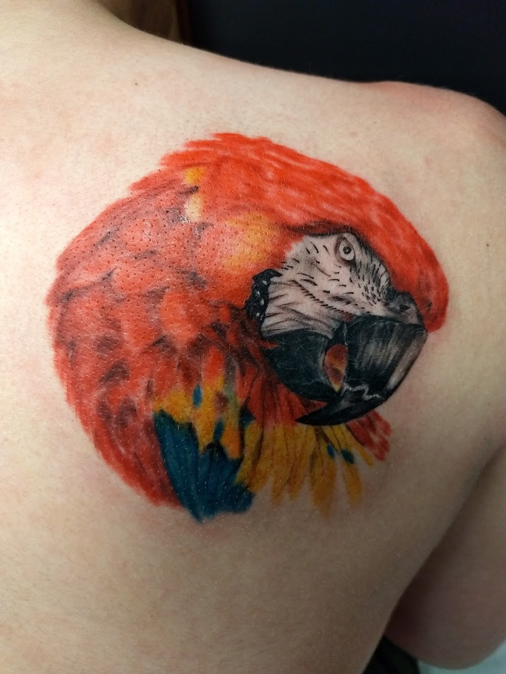 Behind The Grin Tattoos & Piercings | 4208 Oil Heritage Rd, Petrolia, ON N0N 1R0, Canada | Phone: (519) 331-4893