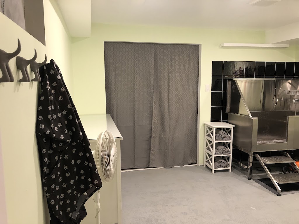 Kanine Klips | 8063 NS-311, Tatamagouche, NS B0K 1V0, Canada | Phone: (902) 305-7311