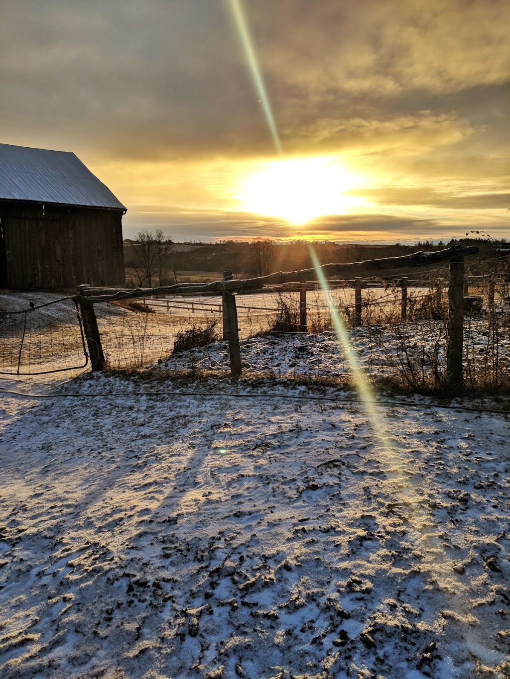 Talisman Equestrian | 4560 Hwy 7, Omemee, ON K0L 2W0, Canada | Phone: (705) 799-2581