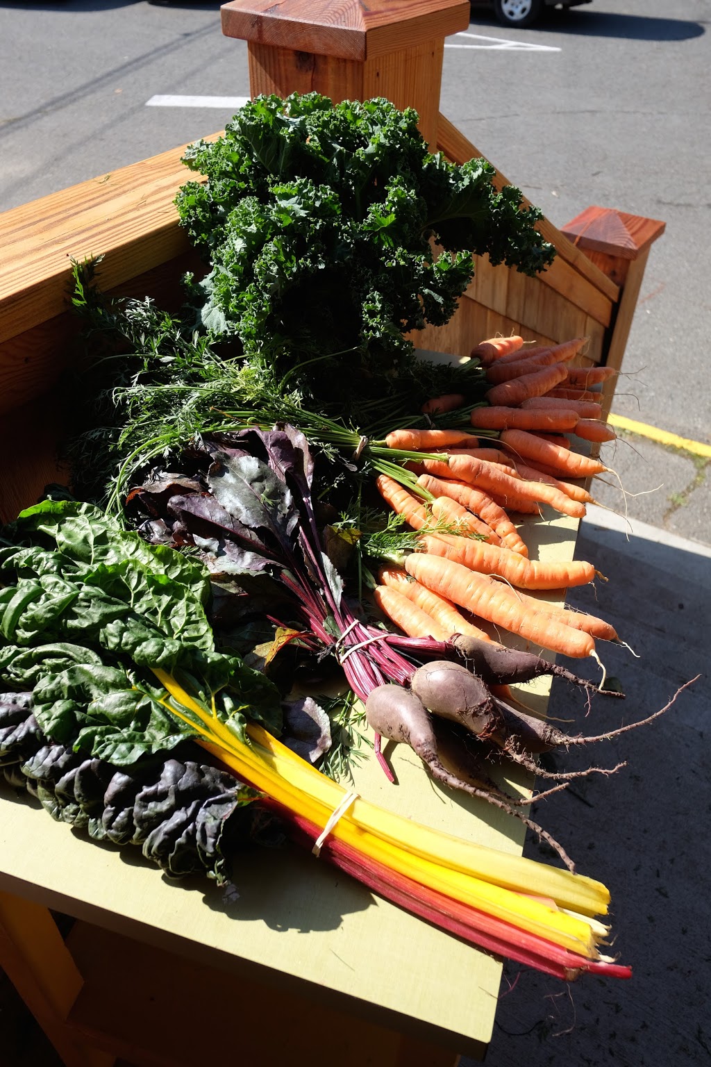 The HUB at Cowichan Station | 2375 Koksilah Rd, Duncan, BC V9L 6M5, Canada | Phone: (250) 746-1794