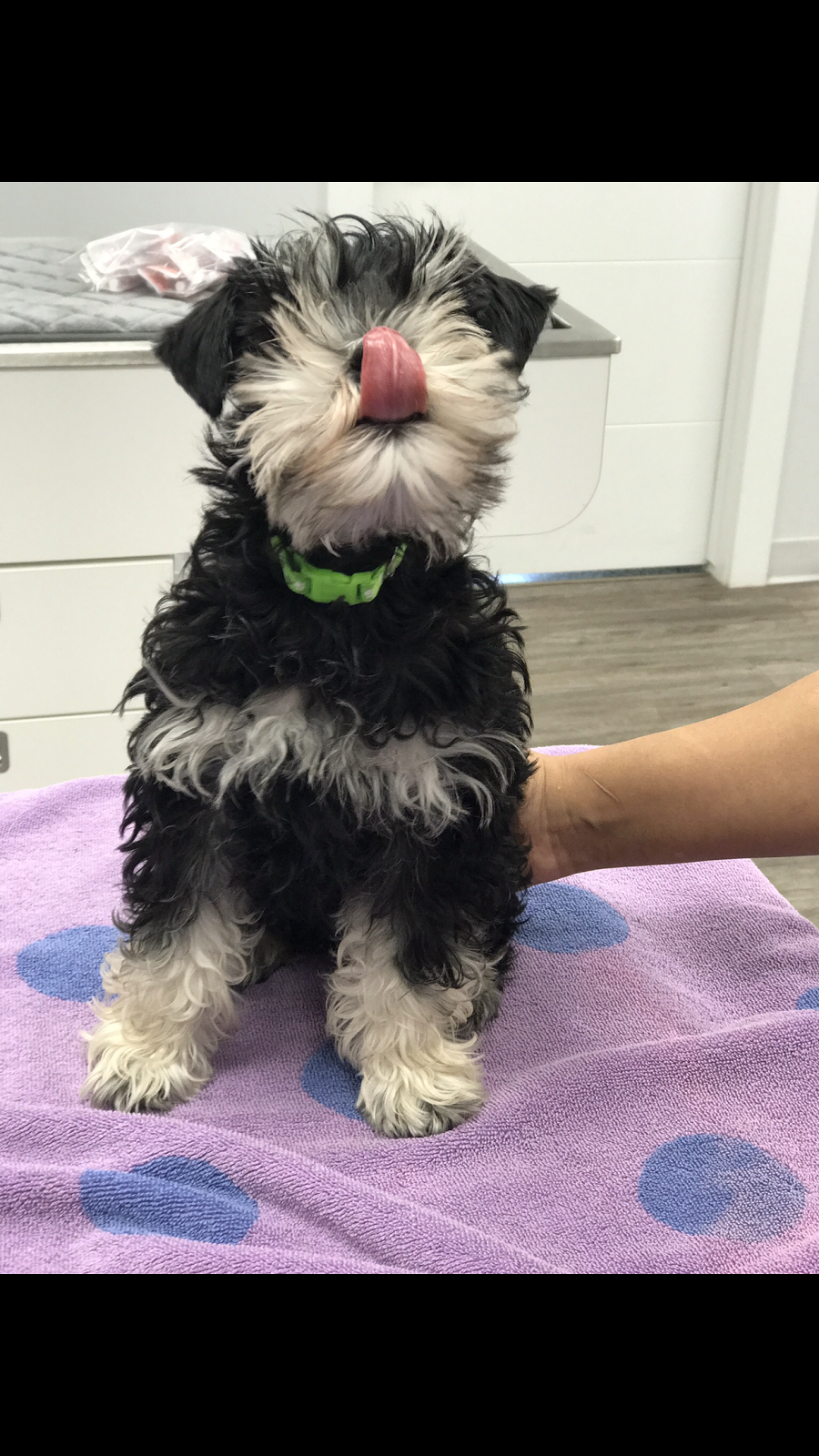 Nolan Hill Veterinary Hospital | 8 Nolan Hill Blvd NW #102, Calgary, AB T3R 0X2, Canada | Phone: (403) 475-6484