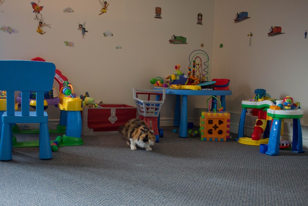 Carter Veterinary Hospital | 2323 Durham Regional Hwy 2, Bowmanville, ON L1C 3K7, Canada | Phone: (905) 419-3500