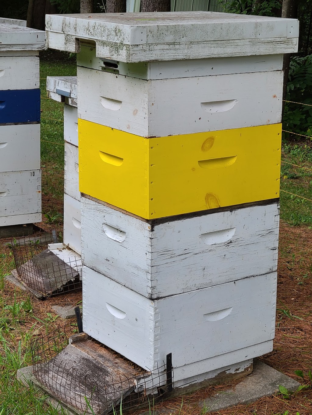Arnolds Apiary - Fresh Natural Honey | 259 Omega Rd, Kirkfield, ON K0M 2B0, Canada | Phone: (905) 717-3462