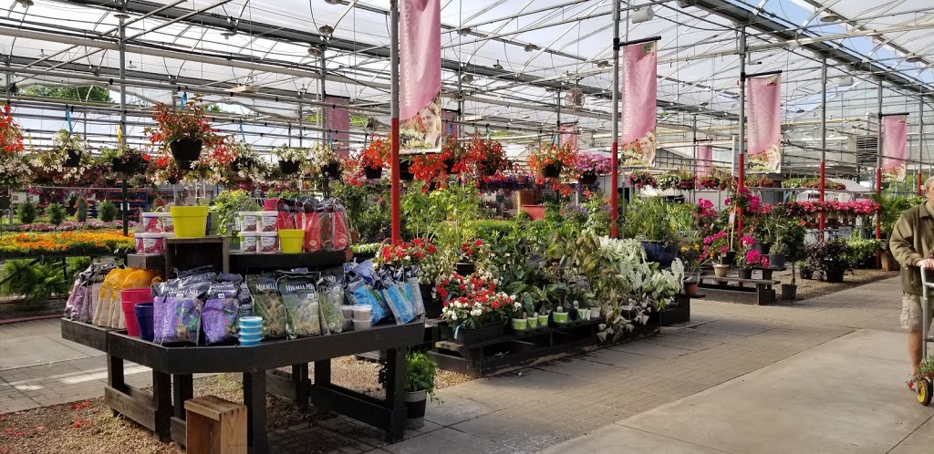 Country Basket Garden Centre & Flower Boutique | 10008 Lundys Ln, Niagara Falls, ON L2H 0T6, Canada | Phone: (905) 358-5811