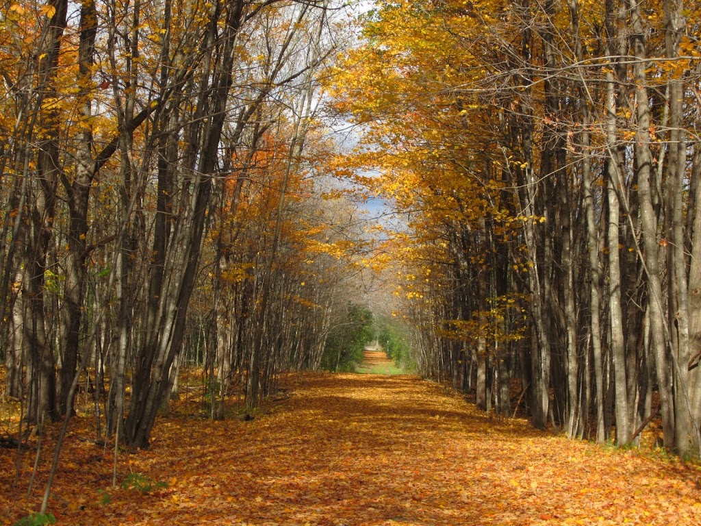 NCC Greenbelt P5 | NCC 23, Ottawa, ON K2M 1A9, Canada