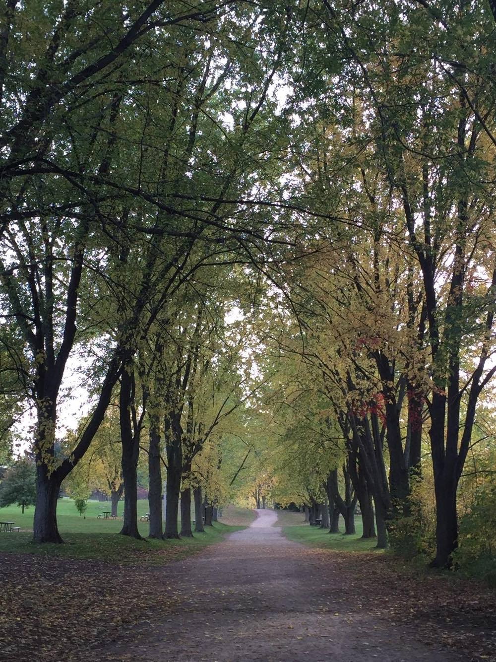 Kelso Conservation Area | 5234 Kelso Rd, Milton, ON L9E 0C6, Canada | Phone: (905) 878-5011