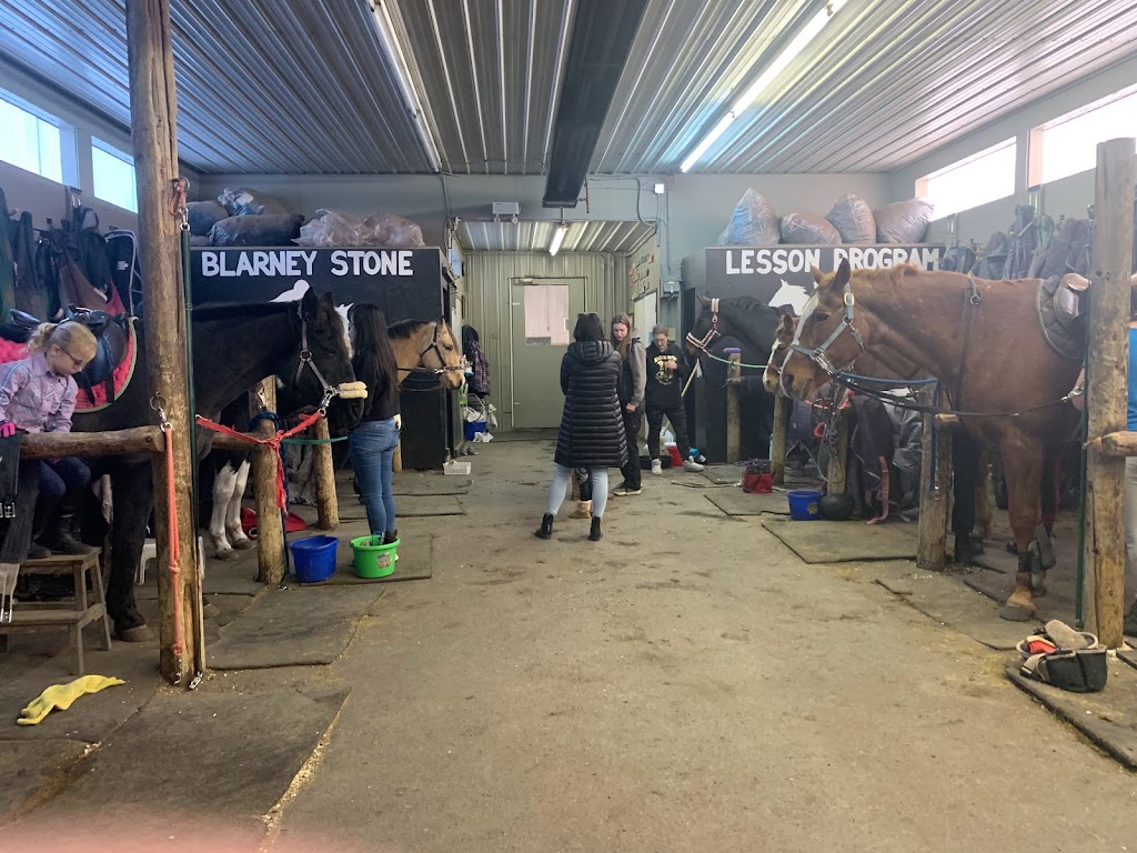 Blarney Stone Farms | 51424C AB-60, Spruce Grove, AB T7Y 1C8, Canada | Phone: (780) 470-0581