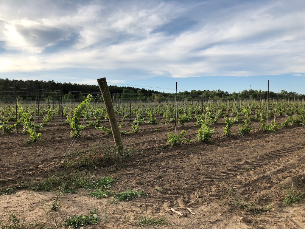 Windrush Estate Winery | 3100 Concession Rd 3 Adjala, Palgrave, ON L0N 1P0, Canada | Phone: (905) 729-0060