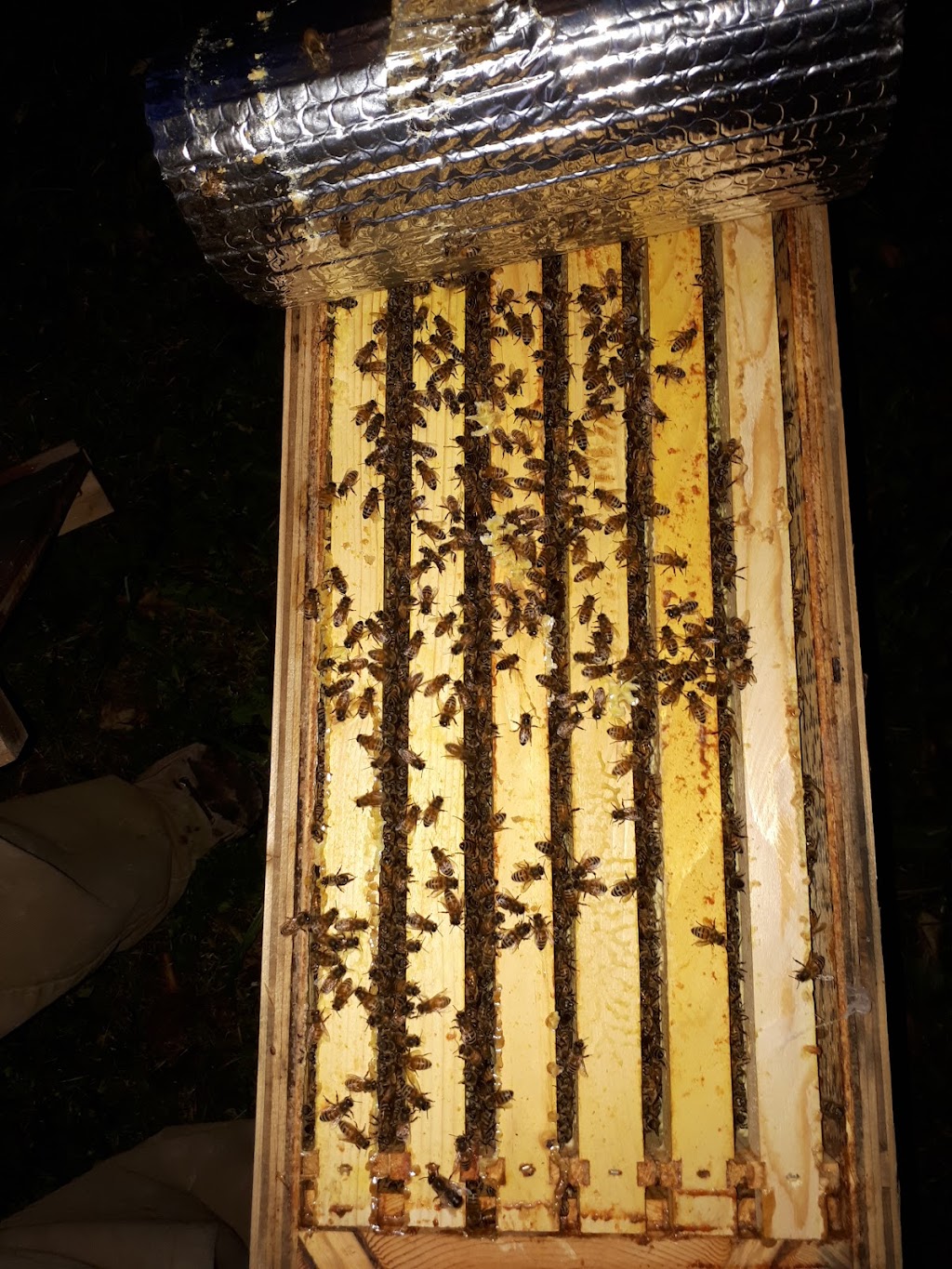 4thlinehoney | 96070 4 Line SW, Melancthon, ON L9V 2B9, Canada | Phone: (647) 216-7084