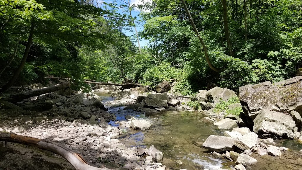 Lower Westcliffe/Lower Cliffview Falls | Chedoke Park B, Hamilton, ON L9C 5B5, Canada