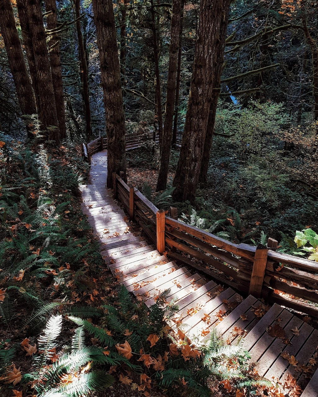 Healing Farm | 5971 Old East Rd, Victoria, BC V8Y 1V7, Canada | Phone: (250) 652-6456