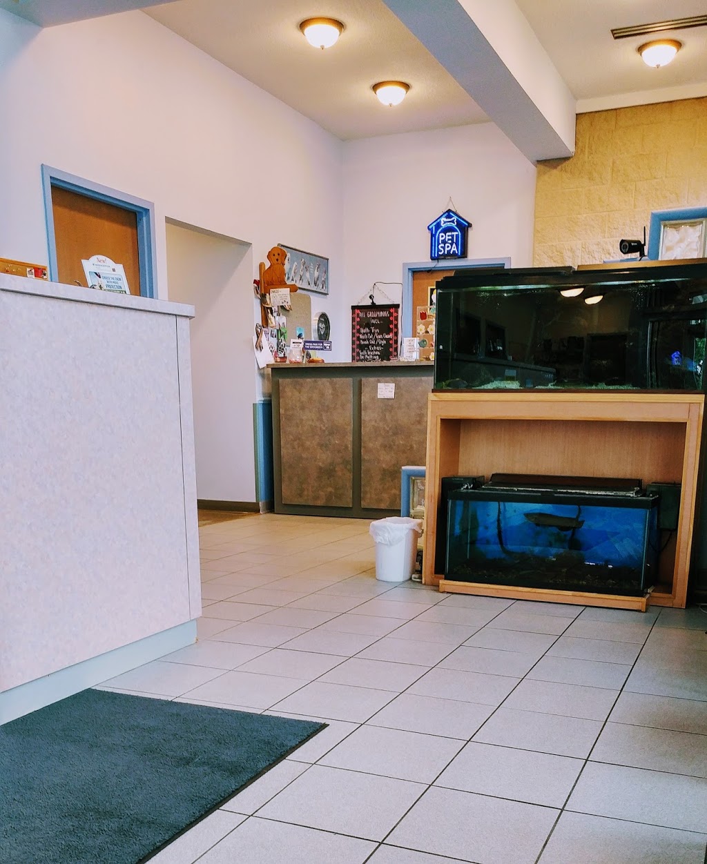 Transit Animal Hospital | 6020 Transit Rd, Depew, NY 14043, USA | Phone: (716) 683-7136