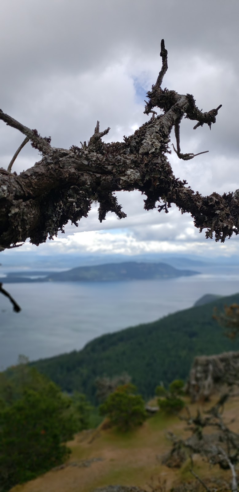Cascade Trails Vacation Rental | 72 Palisades Dr, Eastsound, WA 98245, USA | Phone: (470) 285-2272