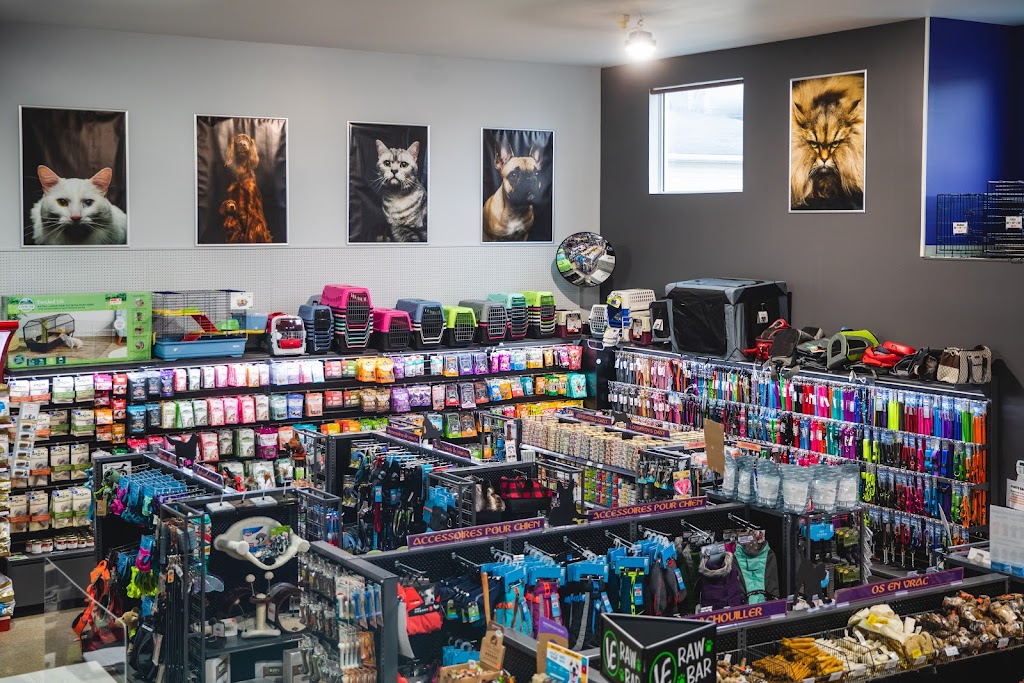 Pet food RDL | 164a Rue Fraser, Rivière-du-Loup, QC G5R 1C8, Canada | Phone: (418) 867-5997