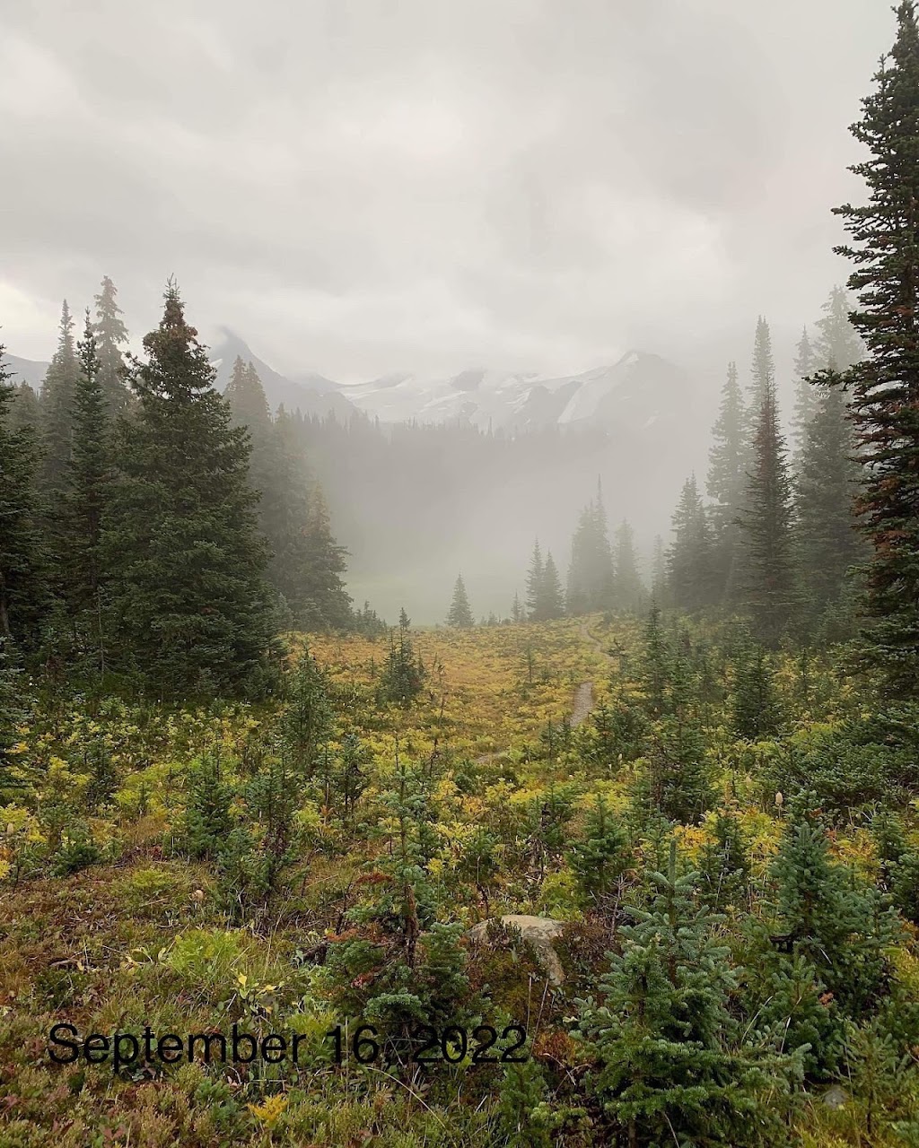 Mistaya Lodge | #1 WildCat Creek, Columbia-Shuswap, BC V0A 1H0, Canada | Phone: (250) 344-6689