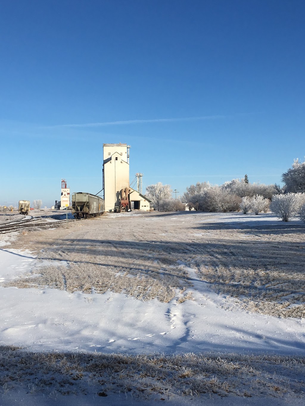 F.W. Cobs Company | 124 Railway Ave, Loreburn, SK S0H 2S0, Canada | Phone: (888) 531-4888