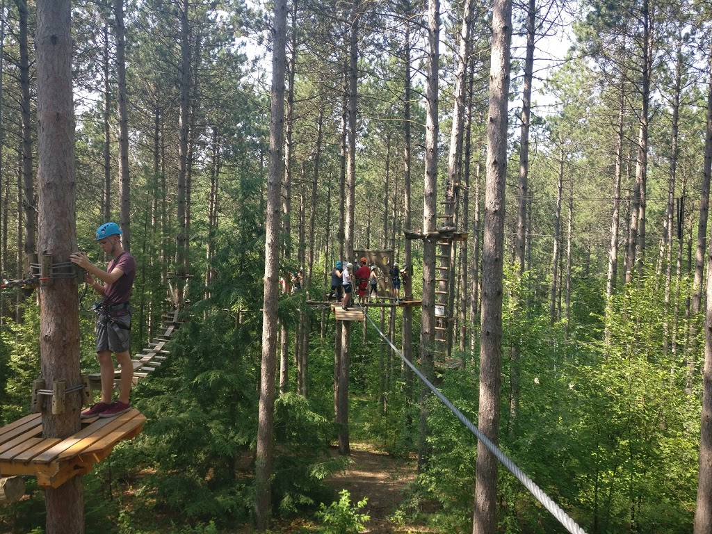 Treetop Trekking Ganaraska | 10585 Cold Springs Camp Rd, Campbellcroft, ON L0A 1B0, Canada | Phone: (905) 797-2000