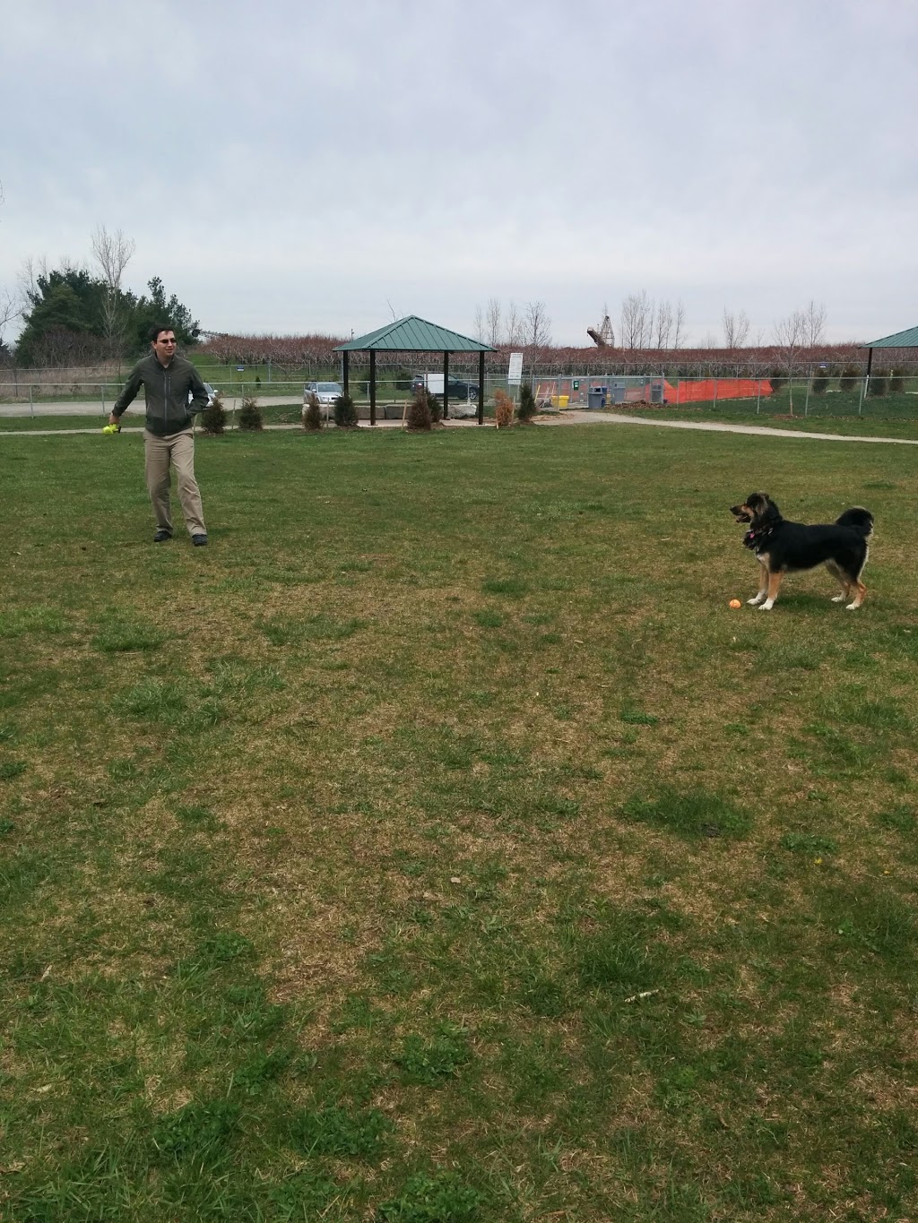 Leash Free Pelham Dog Park | 1671 Centre St, Ridgeville, ON L0S 1M0, Canada